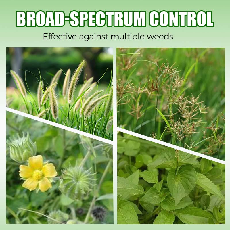 S-Metolachloor 96% voor-opkomst herbicide voor maïs en aardappelen