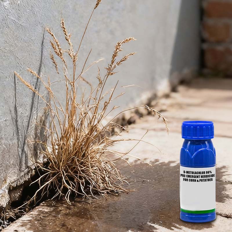 S-Metolachloor 96% voor-opkomst herbicide voor maïs en aardappelen