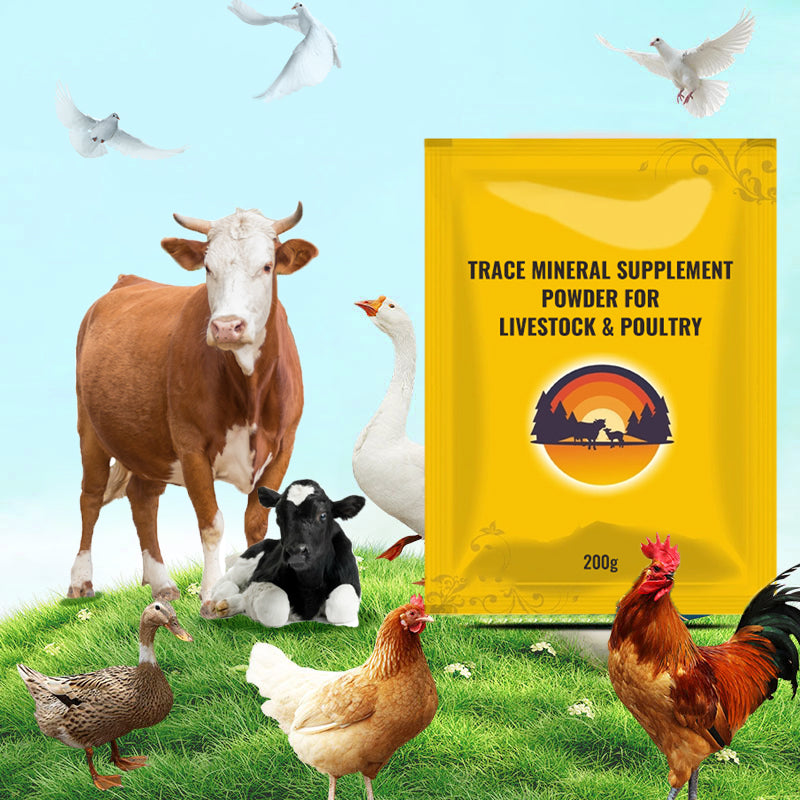 Spoorelementen Aanvullingspoeder voor Vee & Pluimvee 🧪🐄🐔