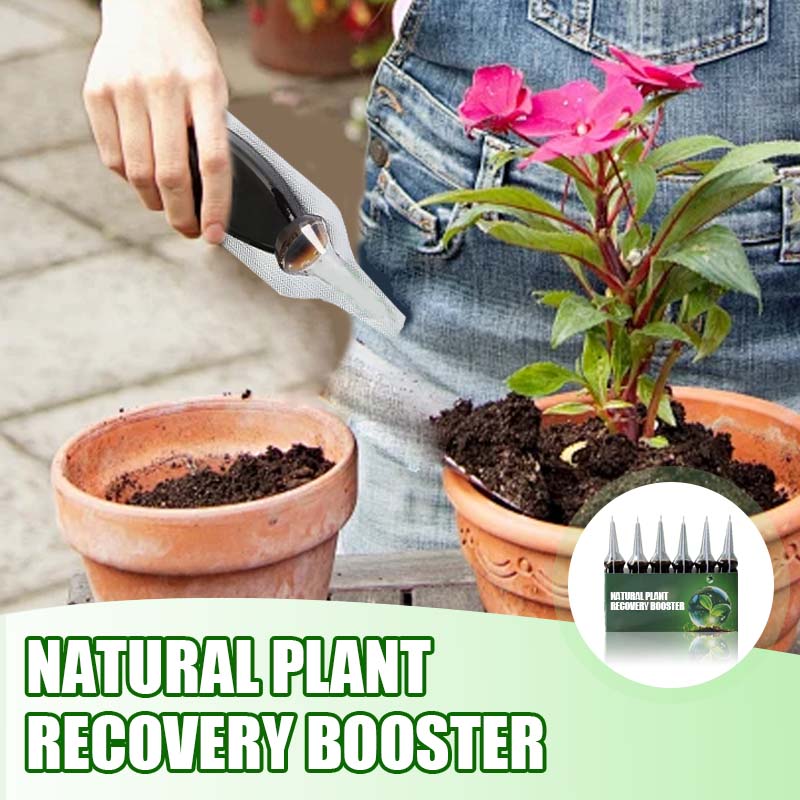 Natuurlijke Plant-Herstelbooster met Essentiële Voedingsstoffen 🌿⚗️