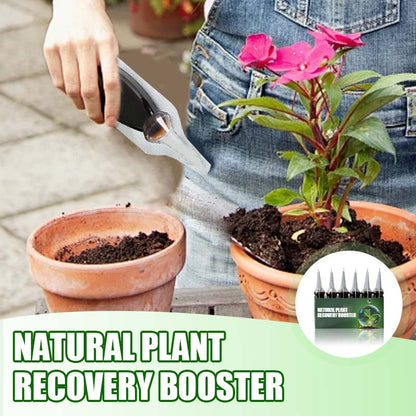 Natuurlijke Plant-Herstelbooster met Essentiële Voedingsstoffen 🌿⚗️