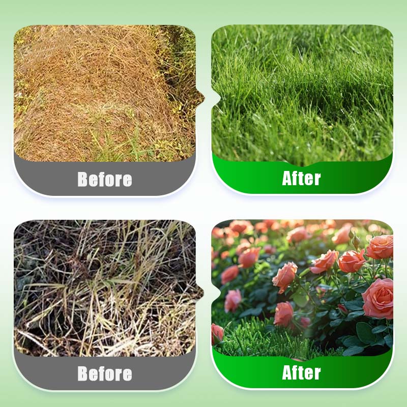 Natuurlijke Plant-Herstelbooster met Essentiële Voedingsstoffen 🌿⚗️