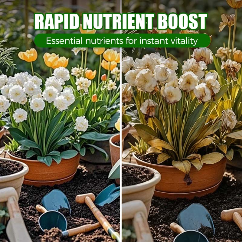 Natuurlijke Plant-Herstelbooster met Essentiële Voedingsstoffen 🌿⚗️