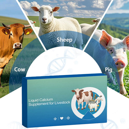 Vloeibaar Calciumsupplement voor Vee ⚗️🐄