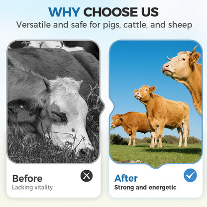 Vloeibaar Calciumsupplement voor Vee ⚗️🐄