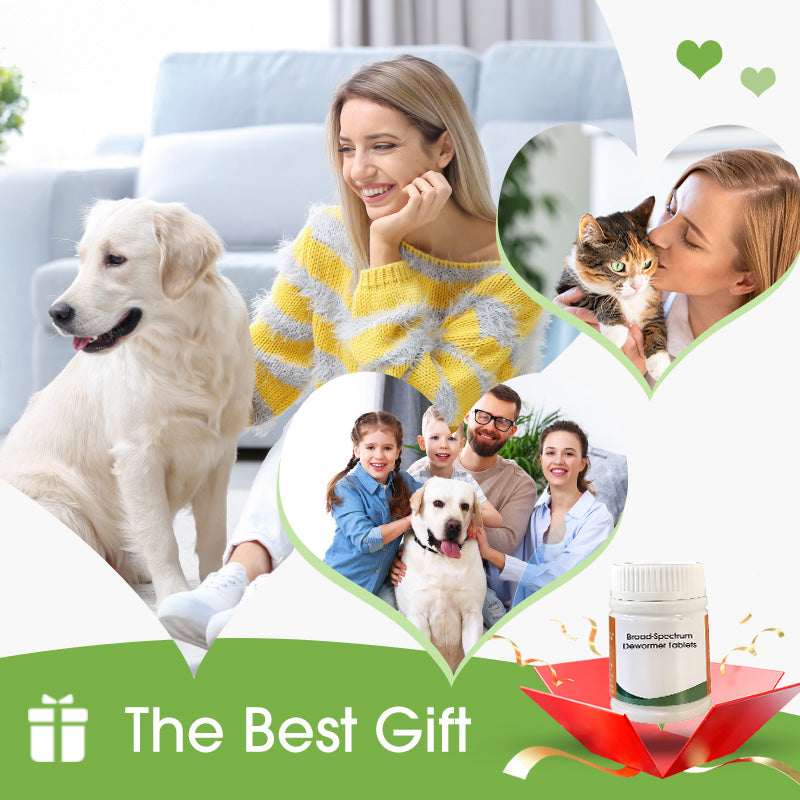 100 Stuks Breedwerkend Ontwormingstabletten