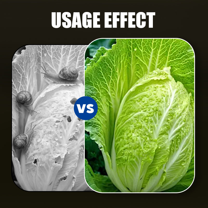 Zeer Effectieve Slakkenbestrijder met Dubbele Werking 🐌➡️💀