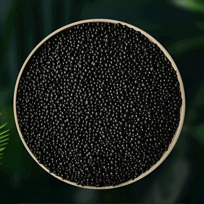 Spoelvrije Bodem voor Waterplanten 💧🌿
