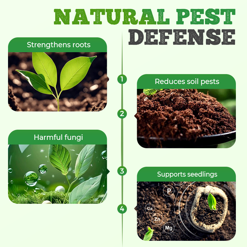 Compost Bacteriën - Hooge Concentratie & Milieuvriendelijk! 🌿🔥