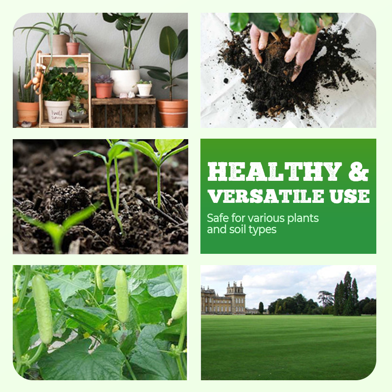 Compost Bacteriën - Hooge Concentratie & Milieuvriendelijk! 🌿🔥