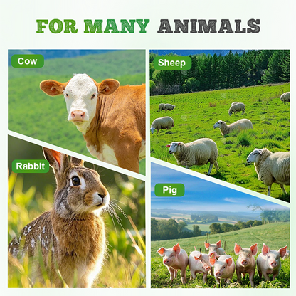 Winterhard & Snelgroeiend Raaigras Zaden 🌱❄️