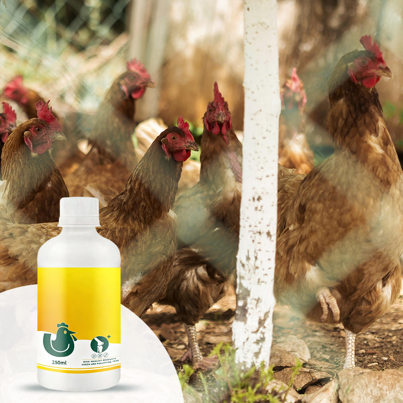 Voedingssupplement voor het versterken van poten bij vee en pluimvee