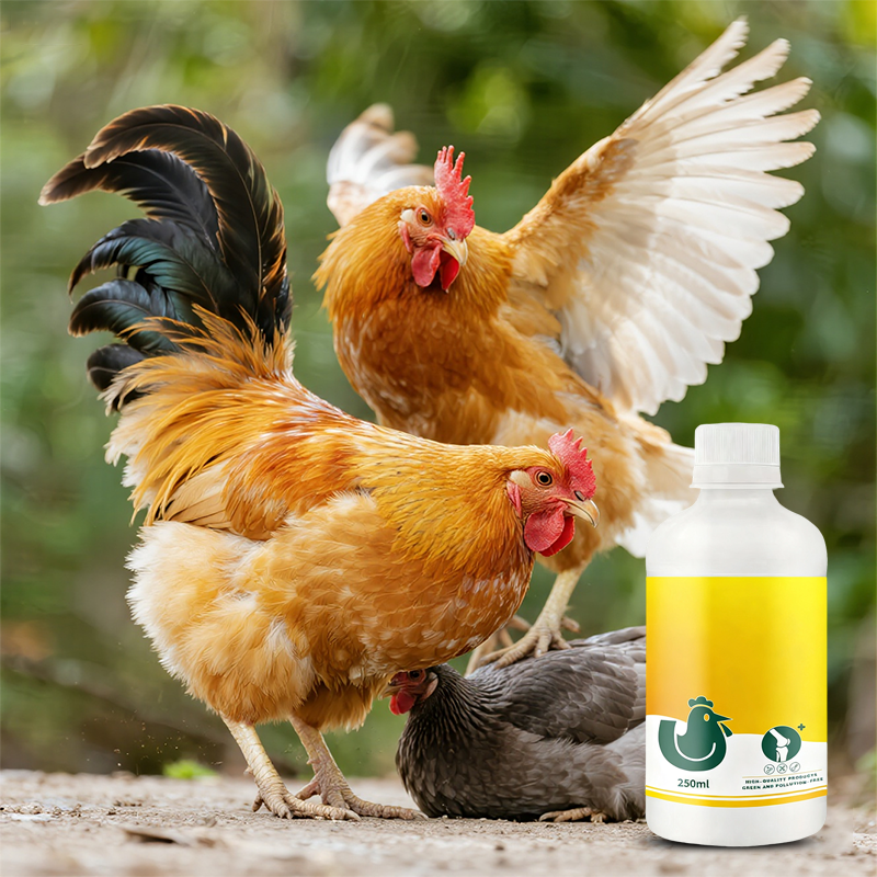 Voedingssupplement voor het versterken van poten bij vee en pluimvee