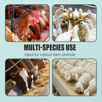 Voedingssupplement voor het versterken van poten bij vee en pluimvee