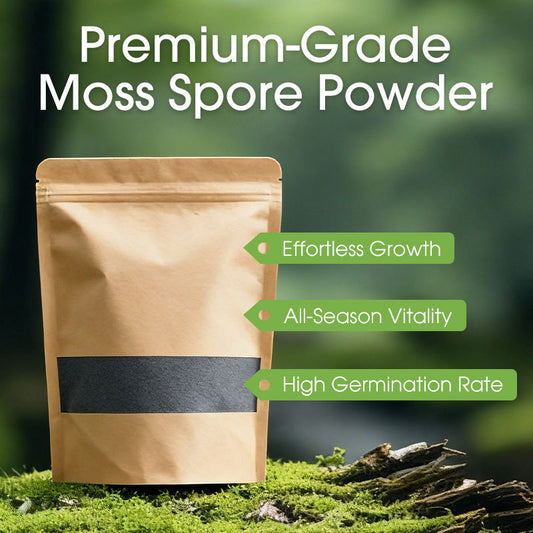 Premium poeder van mossporen
