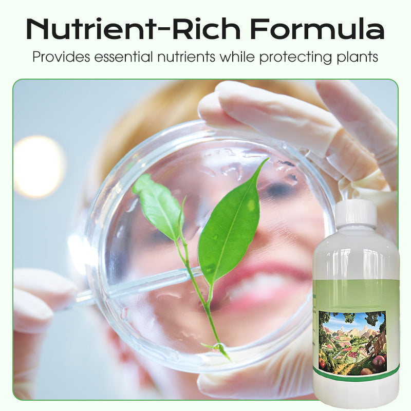 Vorstbescherming voor Planten, Groenten en Bloemen ❄️🛡️