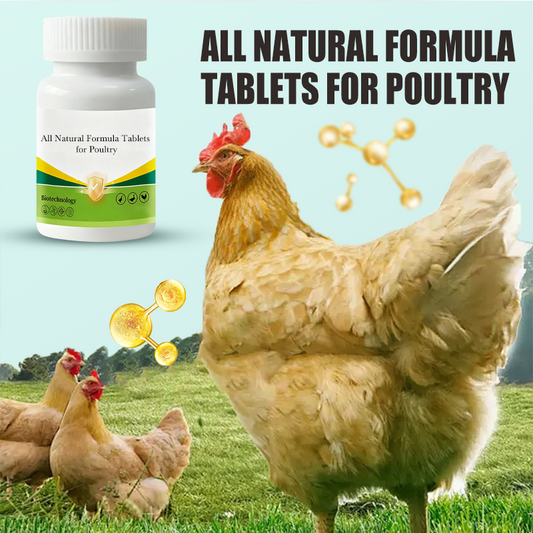 Natuurlijke Formule-Tabletten voor Pluimvee 🌿🐔