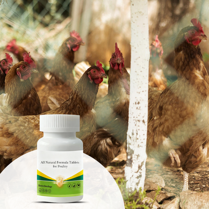 Natuurlijke Formule-Tabletten voor Pluimvee 🌿🐔