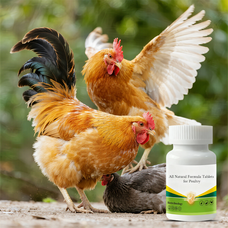 Natuurlijke Formule-Tabletten voor Pluimvee 🌿🐔