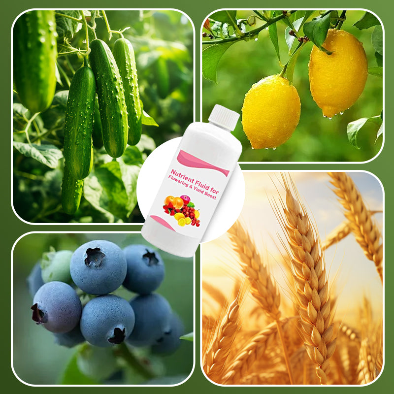 Nutrient Fluid for Flowering & Yield Boost