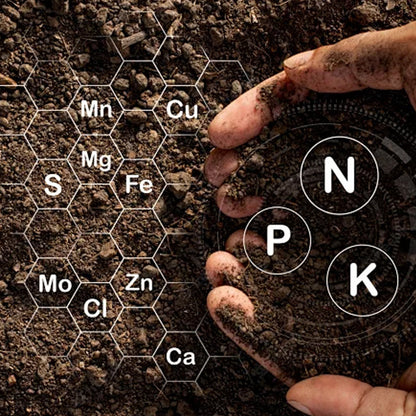 Nutrient Fluid for Flowering & Yield Boost