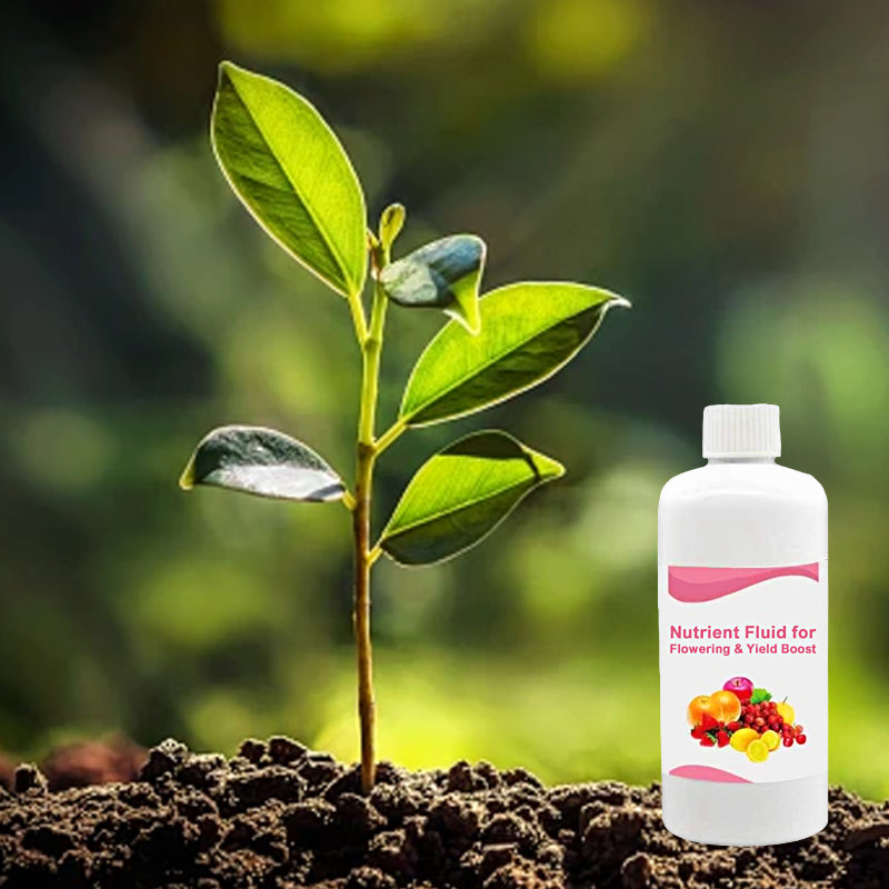 Nutrient Fluid for Flowering & Yield Boost