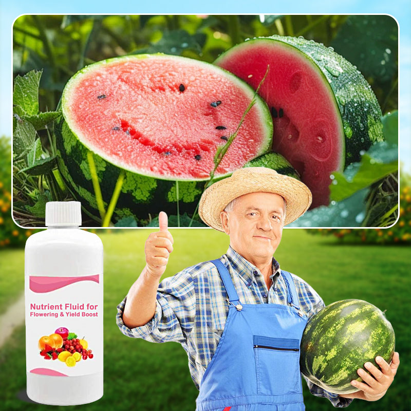 Nutrient Fluid for Flowering & Yield Boost