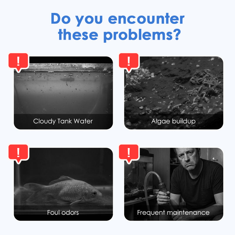 Aquarium & Pond Water Purifier Effervescent Tablets